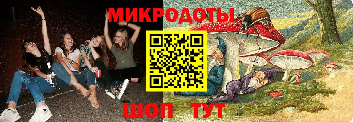 Псилоцибиновые грибы Psilocybe Тара
