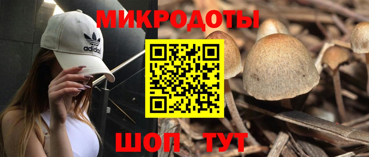 Тара  Псилоцибиновые грибы мухоморы  Псилоцибиновые грибы GOLDEN TEACHER  Вход с VPN 